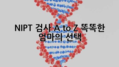 NIPT 검사 A to Z: 똑똑한 엄마의 선택 👶🧬